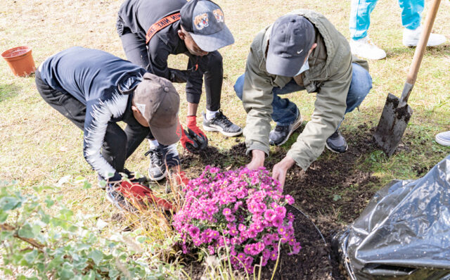 Développer la nature dans nos quartiers