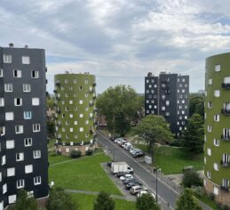 Journée mondiale de l’habitat